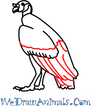 300x350 How To Draw A King Vulture