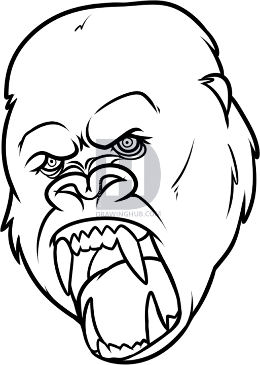 513x720 King Kong Drawing, Step