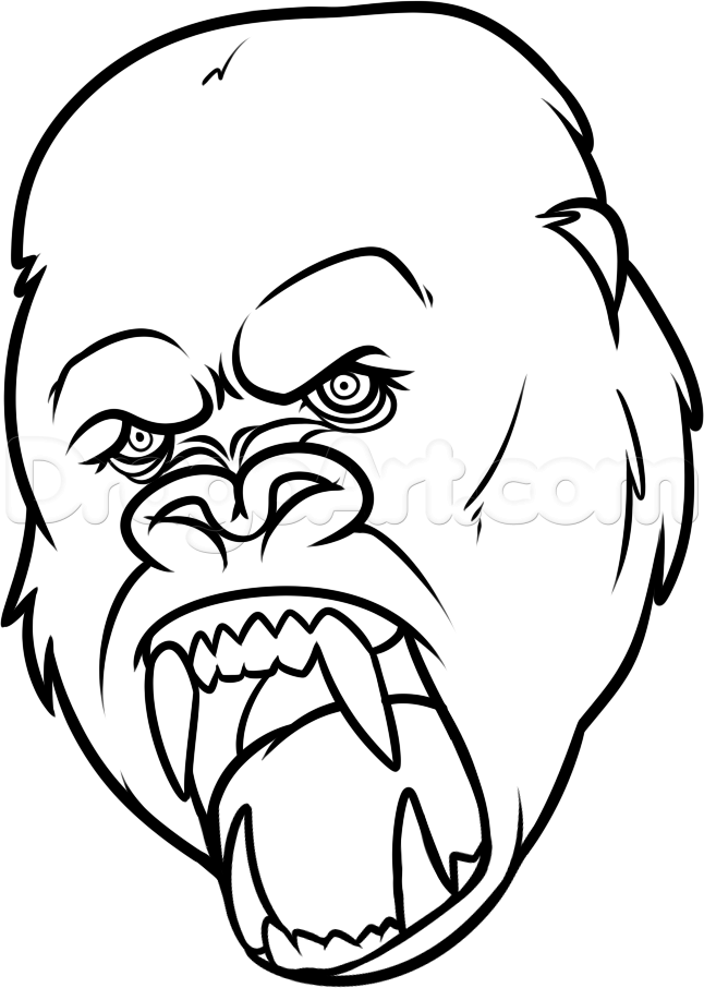 646x906 King Kong Drawing, Step