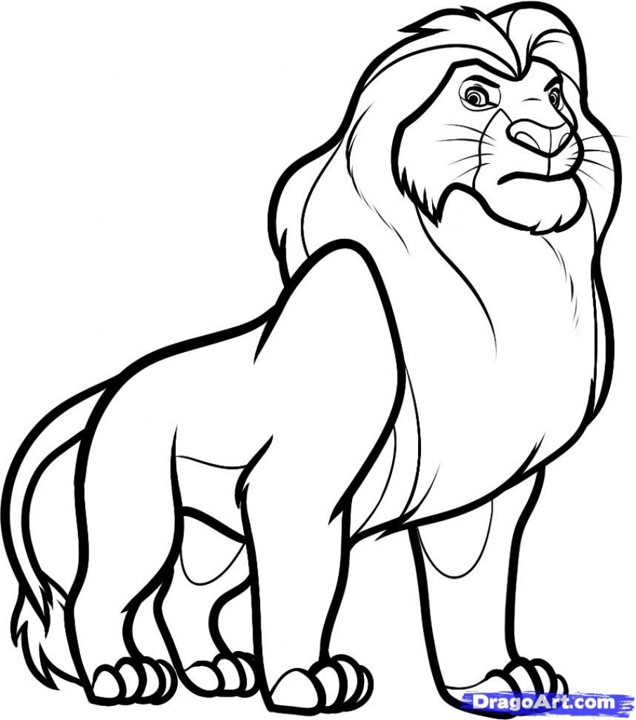905x1024 Lion Cartoon Drawing King Cartooncreative Co Attachments