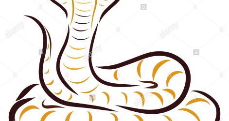 471x250 Drawing Cobra Snake Easy King Pictures Clipart Carmi Chaelinn