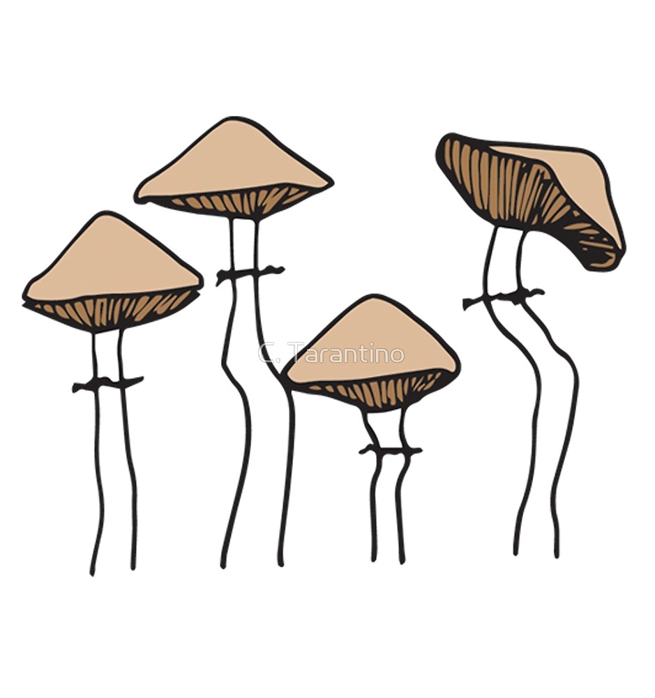 939x1000 Group Of Mushrooms Nature Beauty