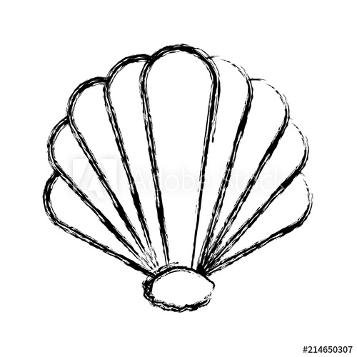 500x500 Grunge Beauty Shell Nature Manine Style