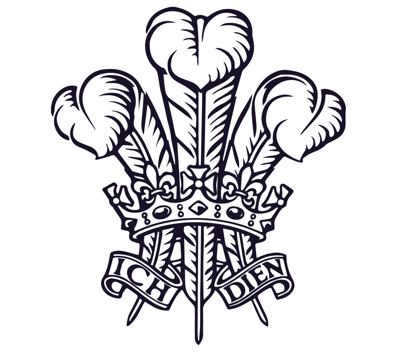 800x710 media prince of wales