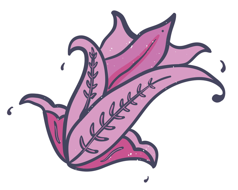 1000x799 Paisley Music Media