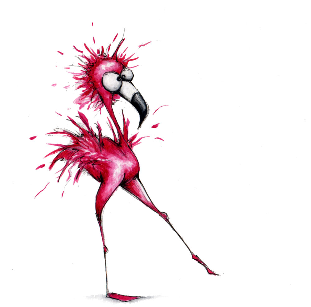 1000x988 Drawing Of The Day Darnel Tasker