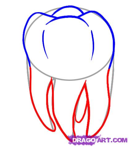 418x473 How To Draw A Tooth, Step