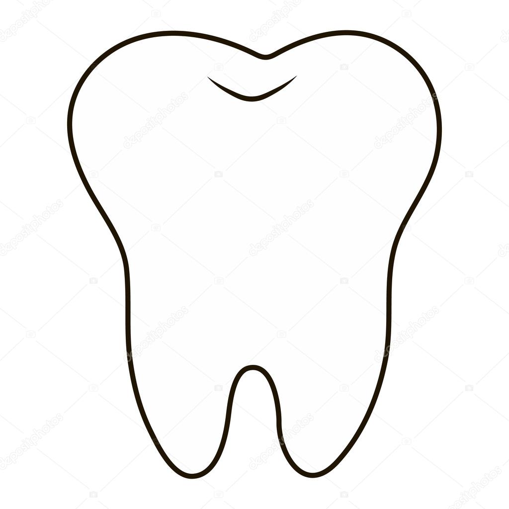 1024x1024 Tooth Drawing Free Download