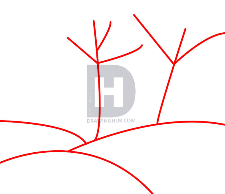 777x671 How To Draw Woods, Step