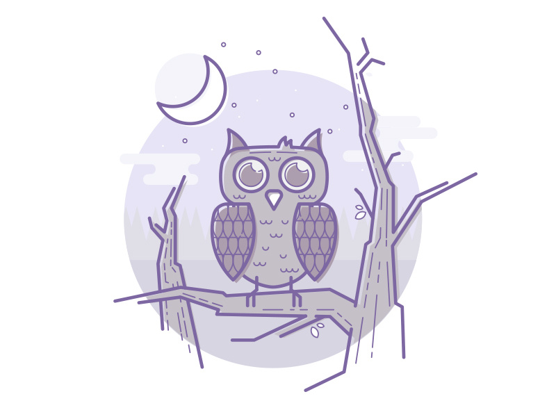 800x600 Owl In The Woods