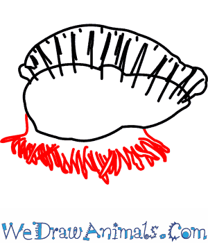 300x350 How To Draw A Portuguese Man O' War