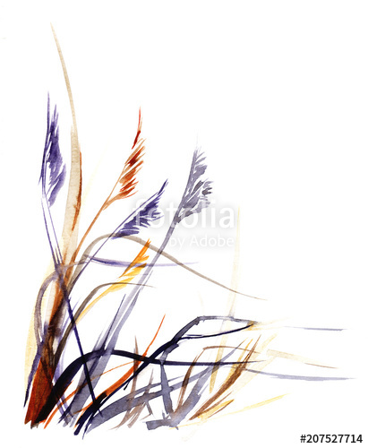 411x500 watercolor sketch marsh grass reeds hand drawing on paper