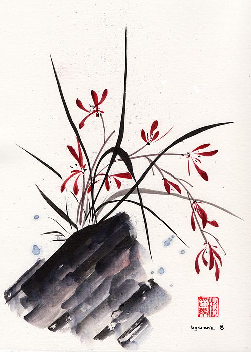 500x700 Wilds Orchid, Spontaneous