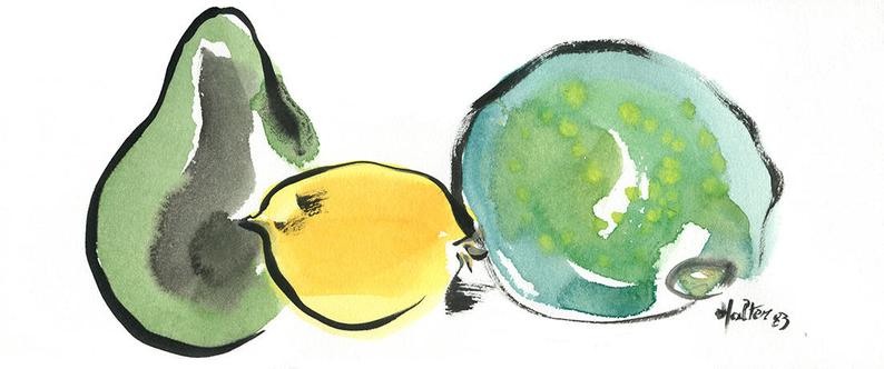 794x332 Three Fruits Watercolor And Ink On Vellum Of Arches Rough Etsy