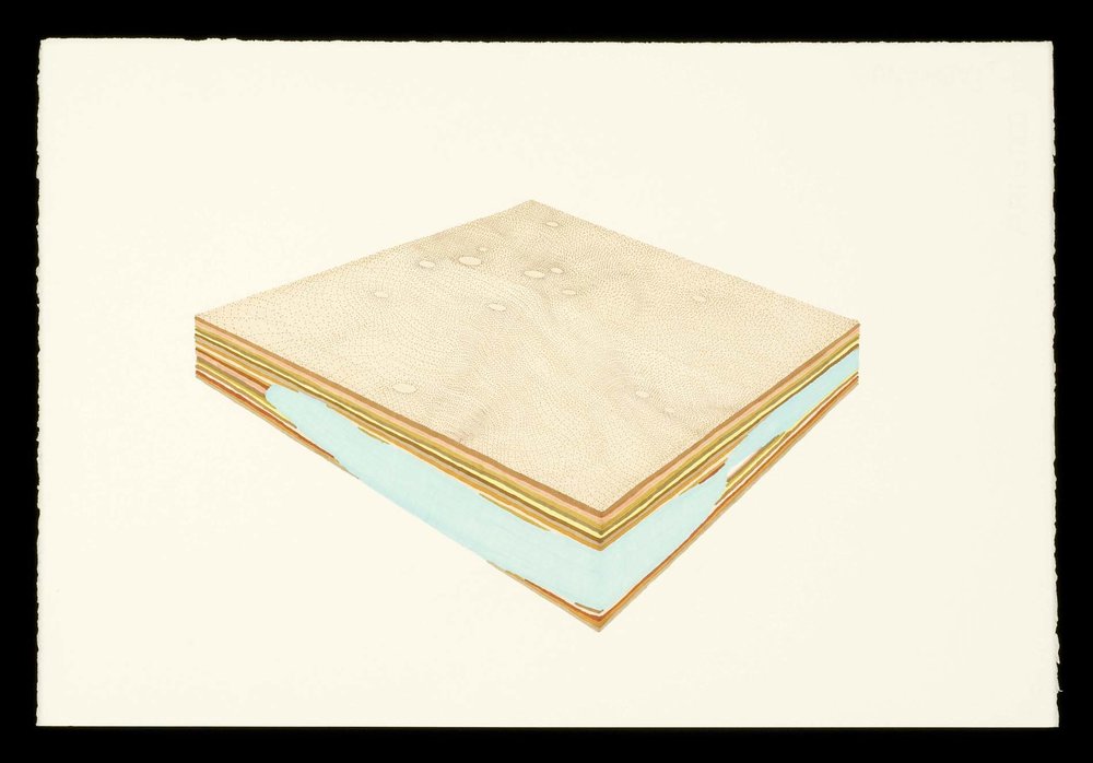 1000x698 before laura vandenburgh