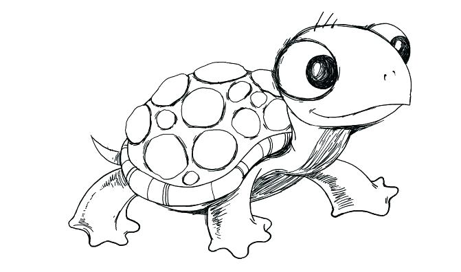 671x396 Simple Sea Turtle Drawing