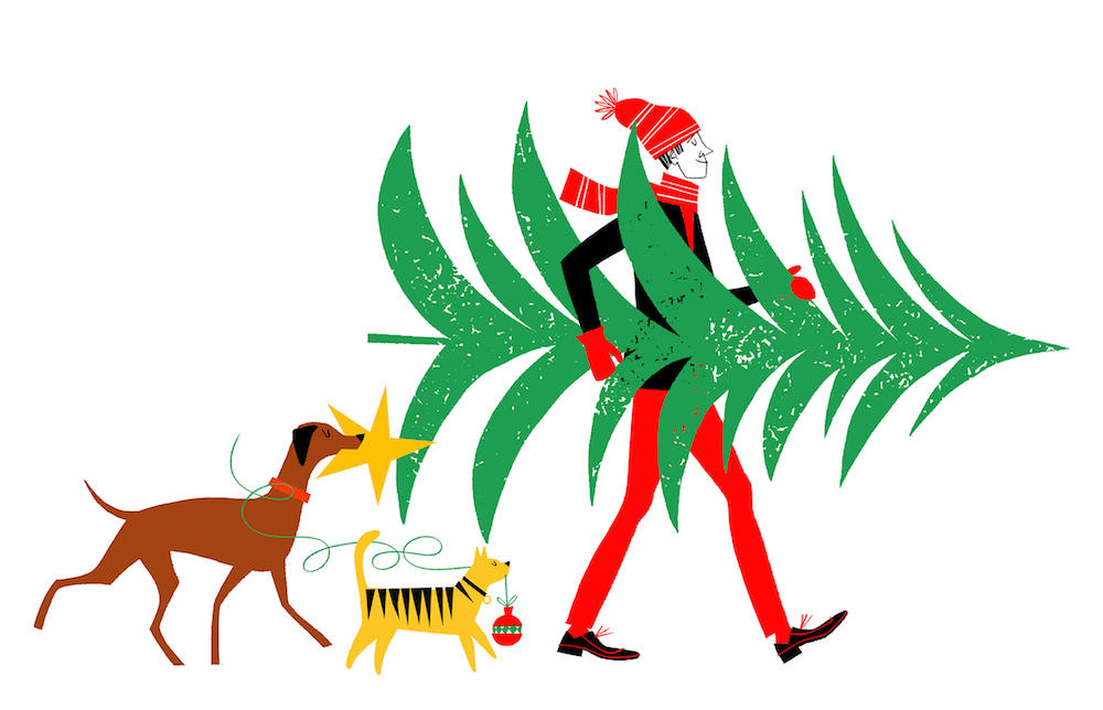 1000x644 Klas Fahlen