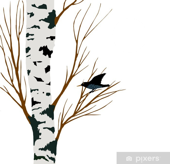 700x678 starling on birch drawing wall mural we live to change