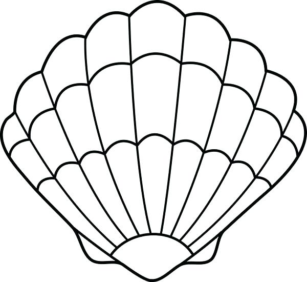 600x550 large seashell coloring pages seashell drawing lovely zigzag