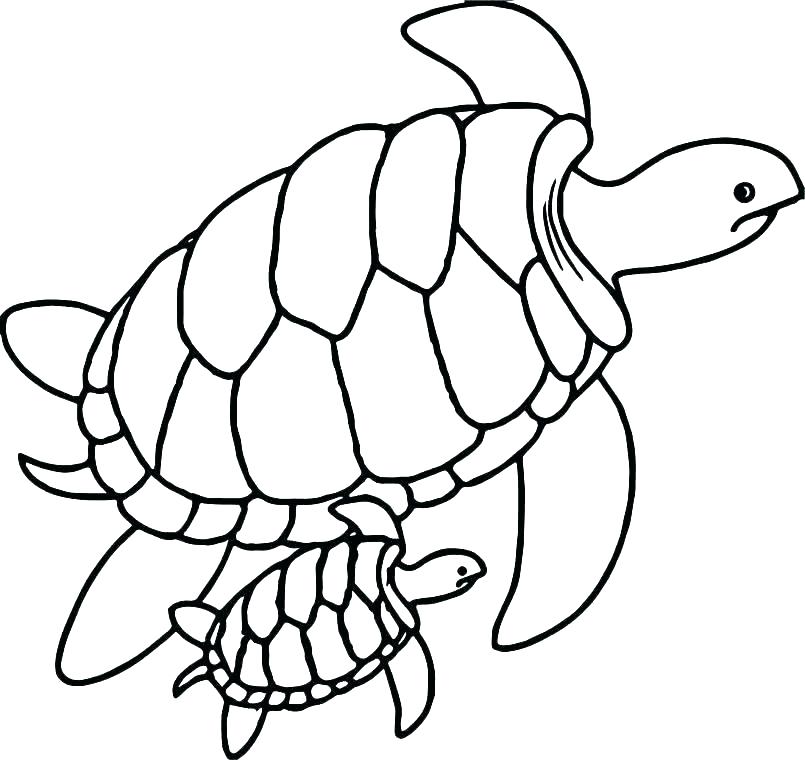 805x760 Cute Coloring Pages For Teenagers Free Coloring Pages For Teens