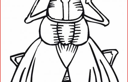 420x270 How To Draw Insects Free Printable Coloring Pages For Teens