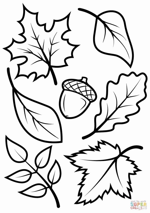 593x840 Coloring Printable Pages Or Coloring Pages For Teens Best Best