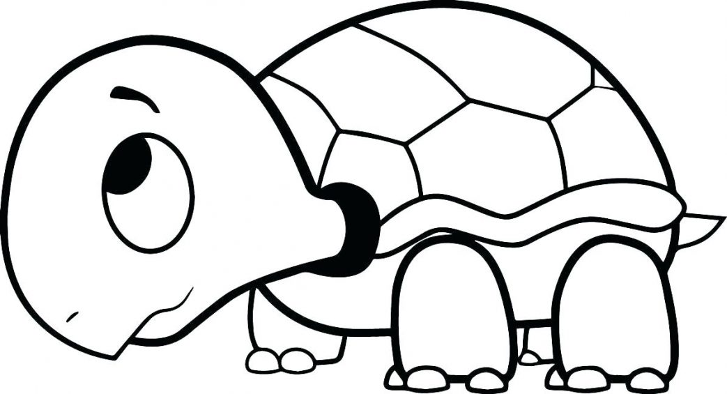 1043x565 Coloring Pages For Kids Disney Adults Printable Teens Turtle Sheet