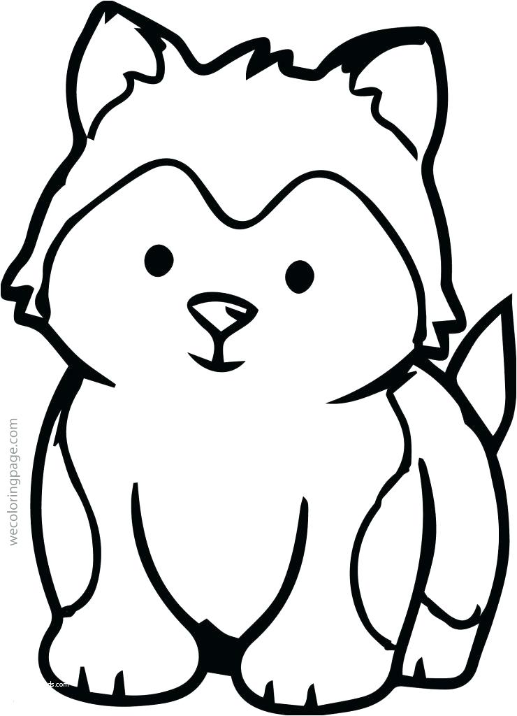 740x1024 Fun Animal Coloring Pages Drawings Draw