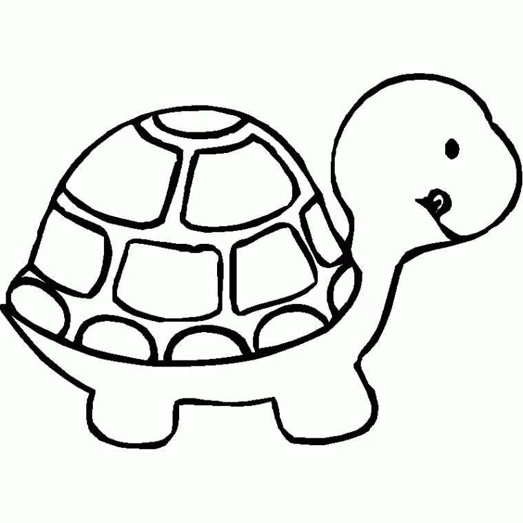 759x759 Cute Animals Pictures To Color And Print