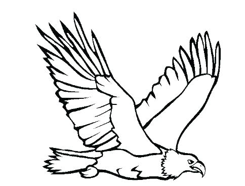 Collection of Eagle clipart | Free download best Eagle clipart on ...