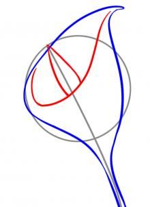 220x302 how to draw a cala lilly tips tidbits artdrawingpainting