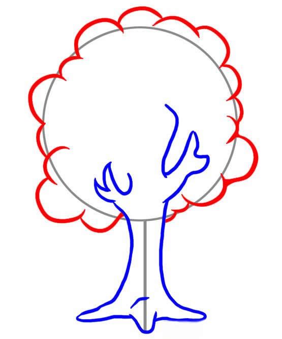 555x669 How To Draw A Tree