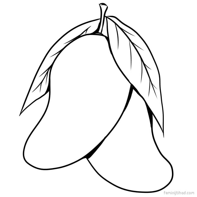800x800 mangoes drawing free download