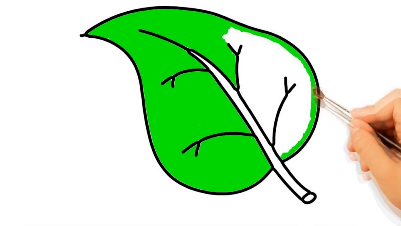 1280x720 Nature Green Leaf Drawing For Kids How To Draw Green Leaf