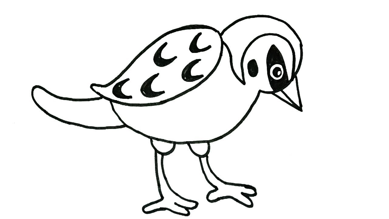 1280x720 How To Draw A Sparrow How To Draw Birds Drawing Easy Step