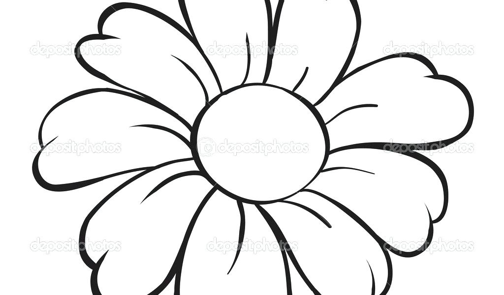 1024x600 Flower Drawing Easy Pencil Drawings Of Flowers Easy Flower Drawing