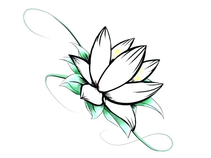 728x546 Draw Simple Flowers