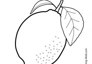 300x210 simple drawing of fruits drawing of fruits and vegetables fruits