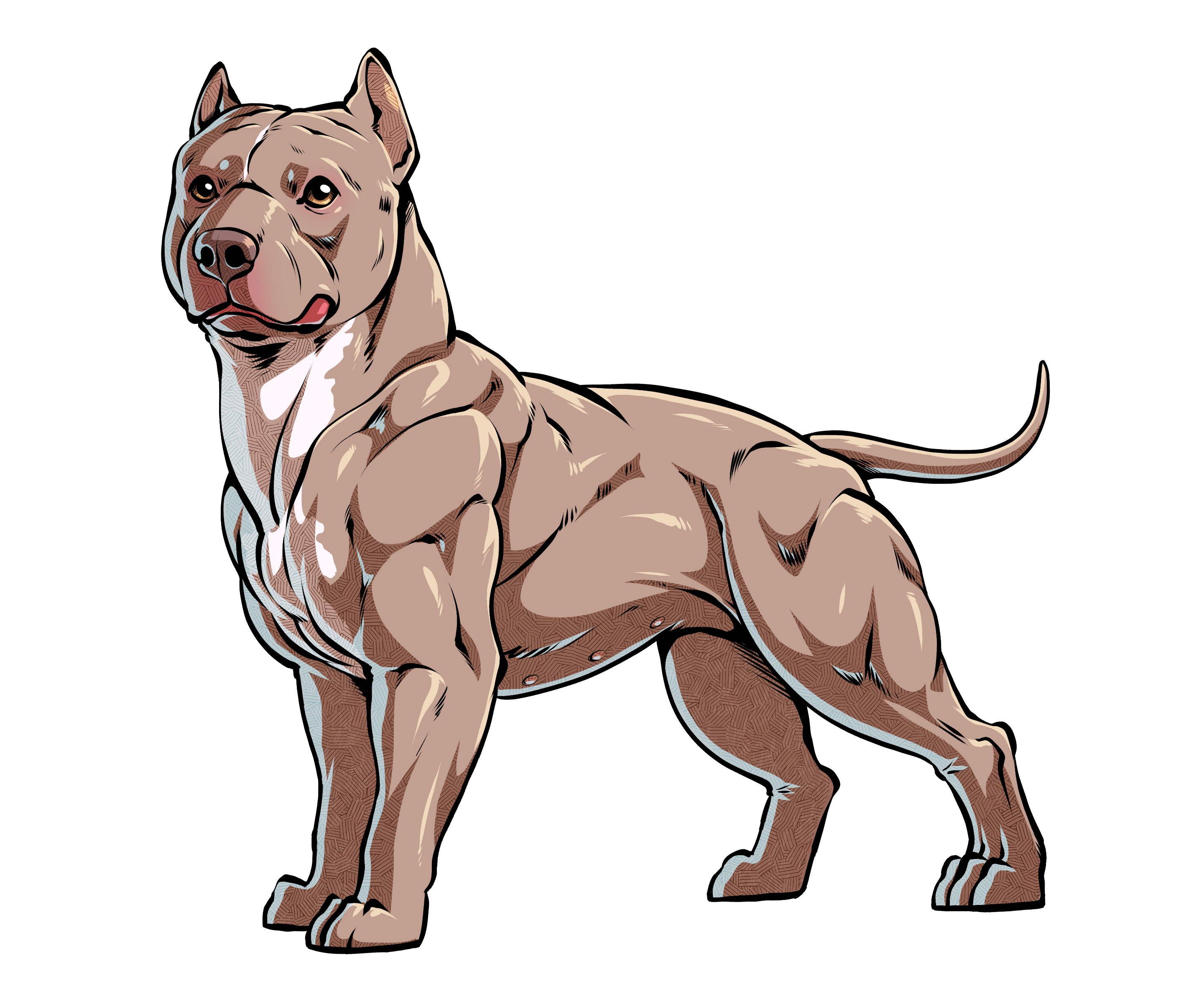 2880x2348 Collection Of Free Pitbull Drawing Muscle Download On Ui Ex