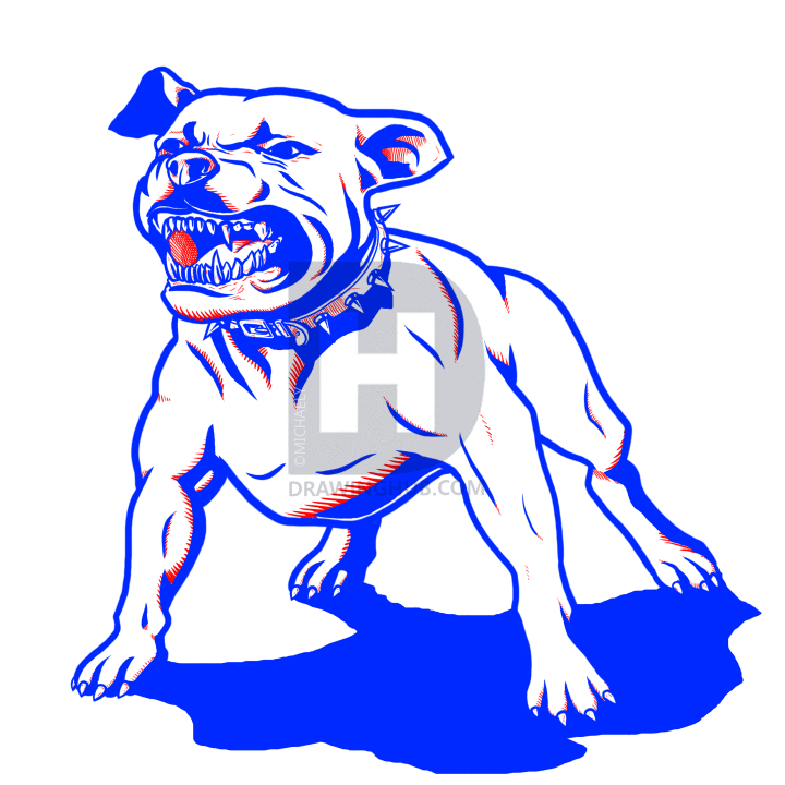 720x720 How To Draw A Pitbull Dog, Step