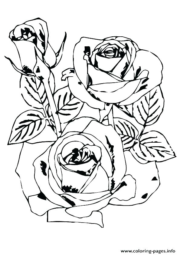 595x842 Hearts And Roses Coloring Pages Drawings Of Hearts With Banners