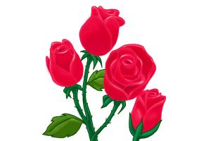 300x200 How To Draw A Heart Rose