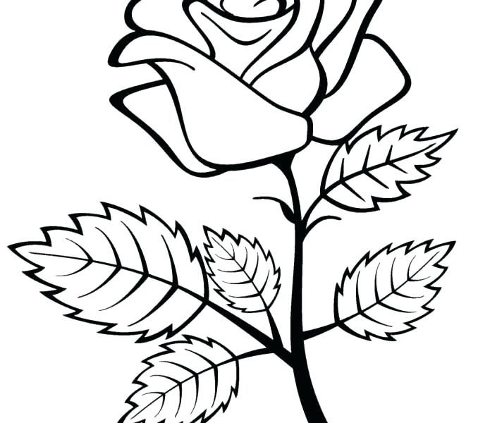 678x600 Coloring Pictures Of Hearts And Roses Coloring Pages Hearts