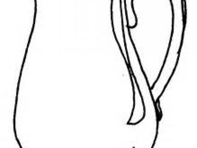 640x480 Free Pitcher Clipart, Download Free Clip Art