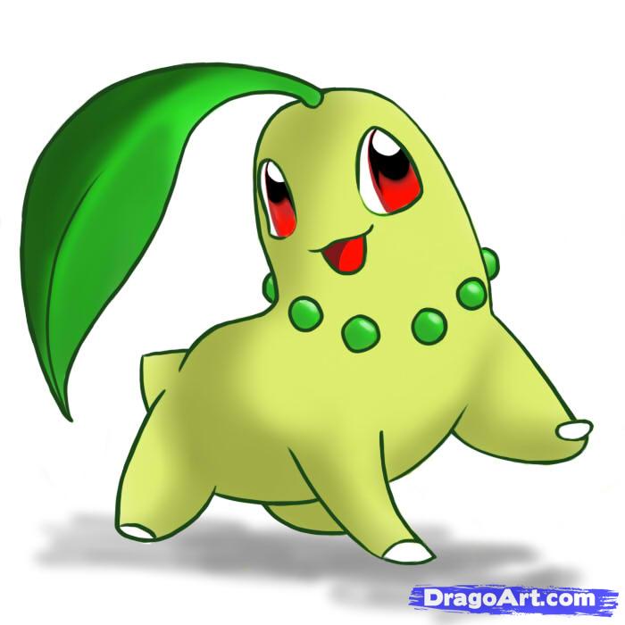 700x700 How To Draw Chikorita, Pokemon, Step