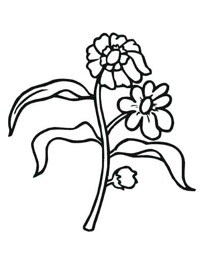 400x518 drawing coloring book images coloring book plants theme coloring