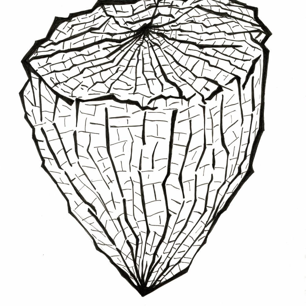 1000x1000 portfolio sharon bates