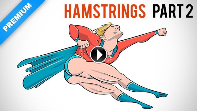 630x355 drawing hamstrings like a pro proko