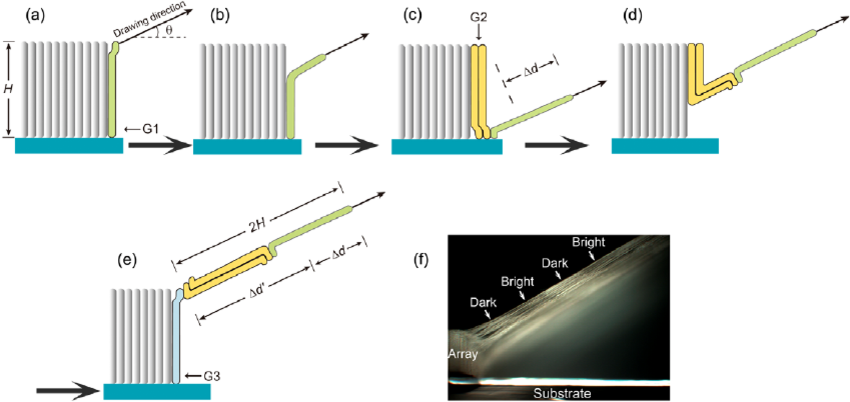 850x402 Drawing Process