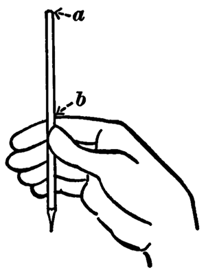 300x393 how to find measurements, proportions, and angles to draw